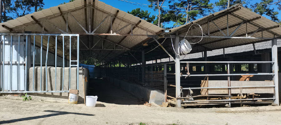 悉心帮扶暖民心,帮扶山村真情暖民心