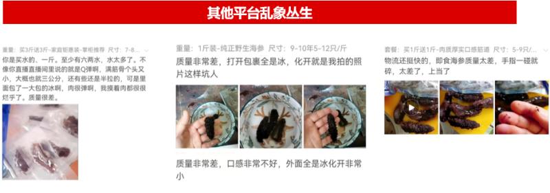 大连海参价格多少一斤是真的,大连参行家淡干海参多少钱一斤