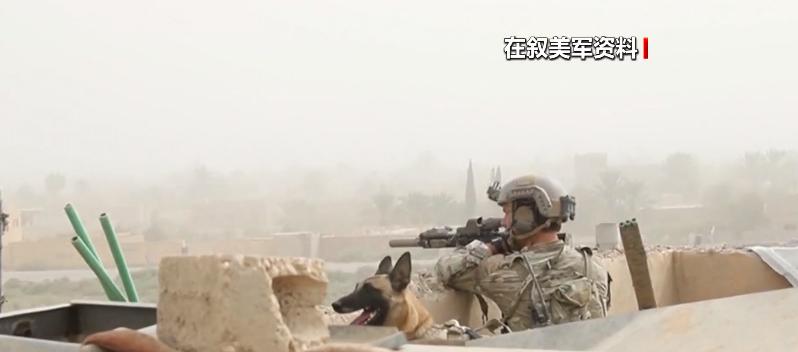 美军叙利亚偷油细节曝光,美军偷油是怎么回事