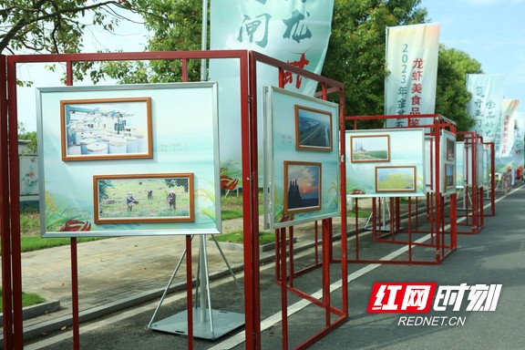 视频丨大通湖区：“虾”日美食金盆龙虾美食品鉴会火热开幕