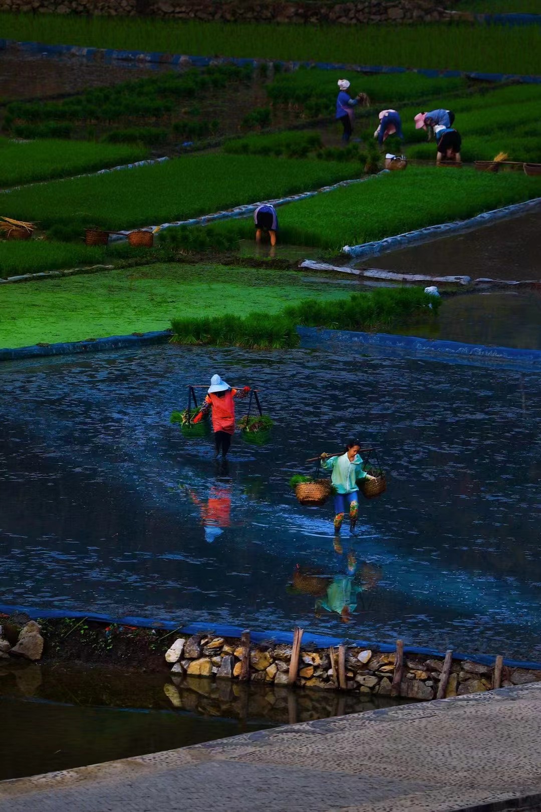 有一种叫云南的生活｜生活在悠然自得的坝美是什么体验？