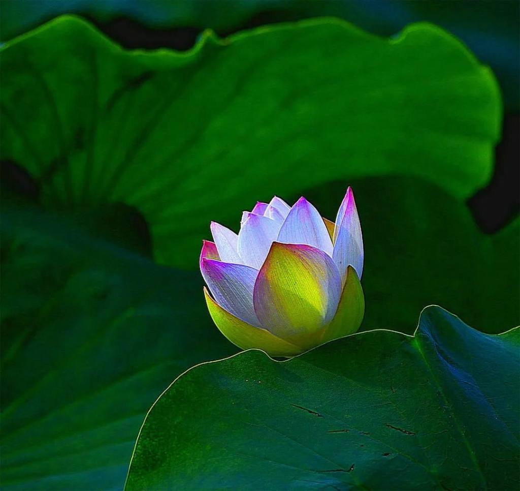 周末到河北畅游大美燕赵,周末走进河北