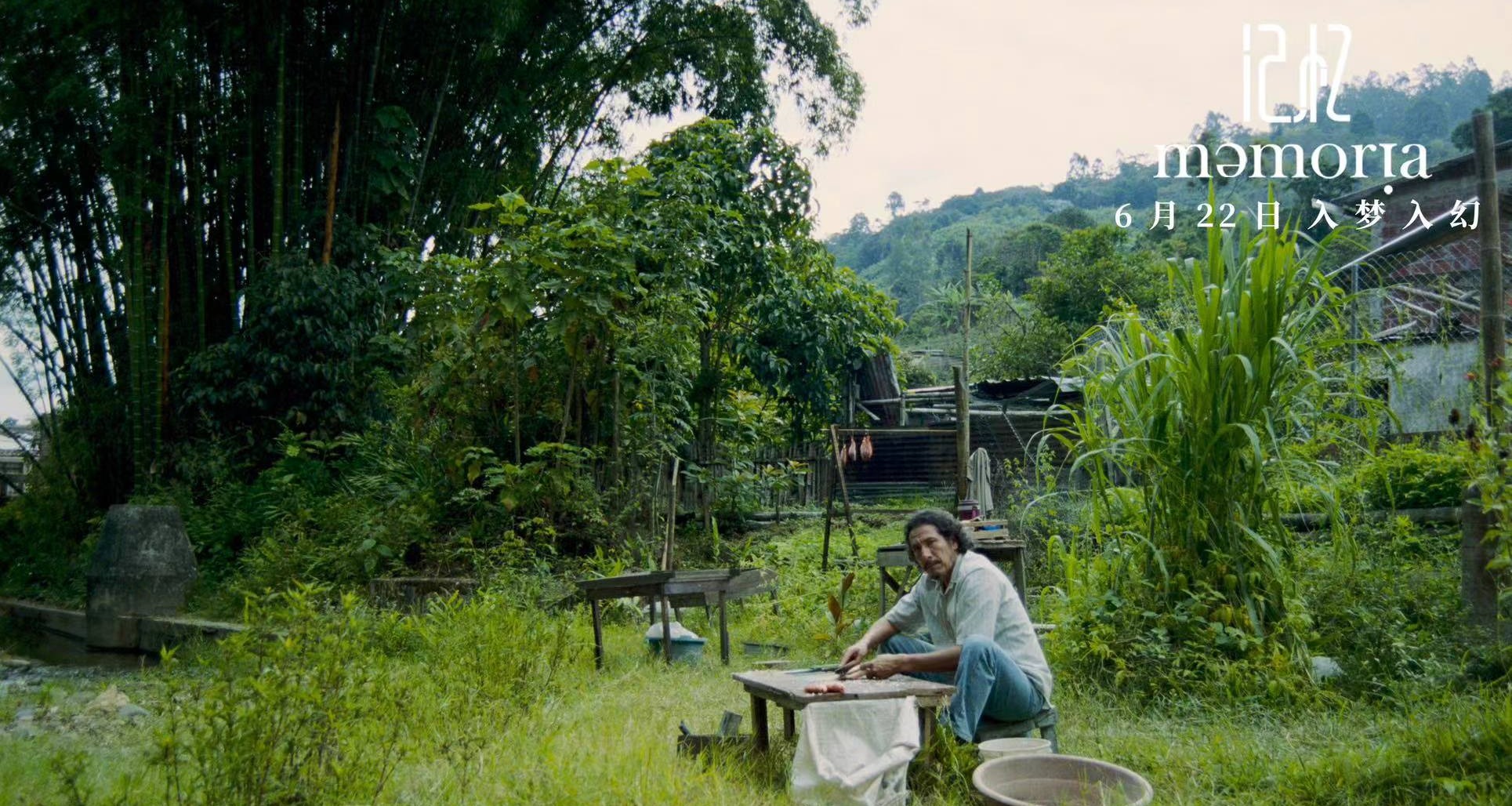 2019鐢靛奖璁板繂,娣卞害瑙ｆ瀽鐢靛奖璁板繂