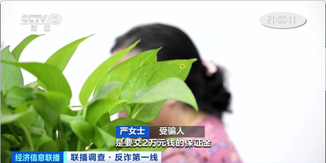 稀缺藏品骗局揭秘,藏品升值陷阱骗局揭秘