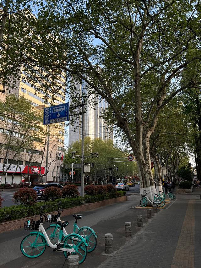 2023.04南京5日闲