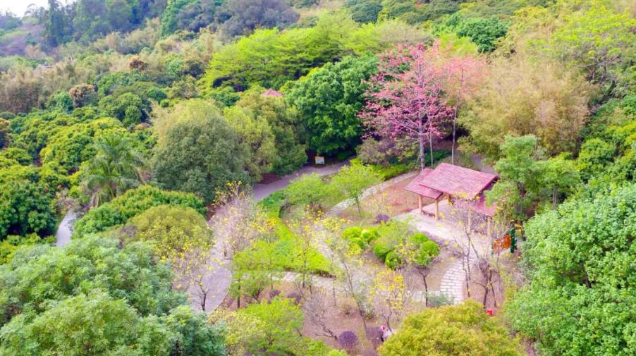 东莞暑期旅游推荐,东莞半日游最佳景点