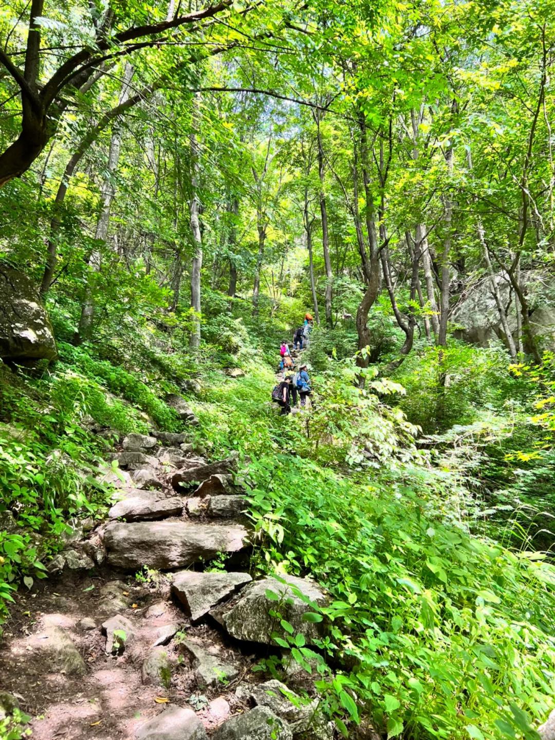 东莞暑期旅游推荐,东莞半日游最佳景点