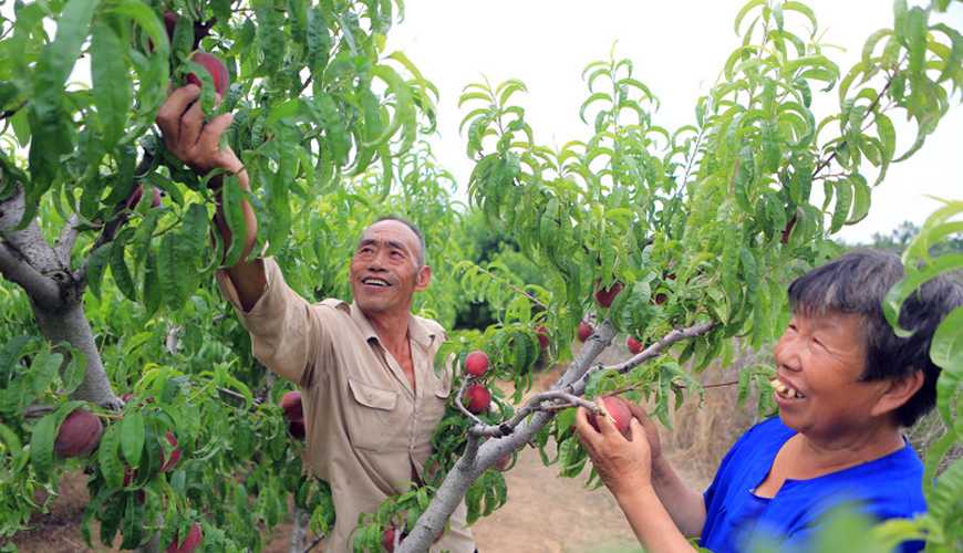阳城县河道治理工程,阳城县后河巷河道治理