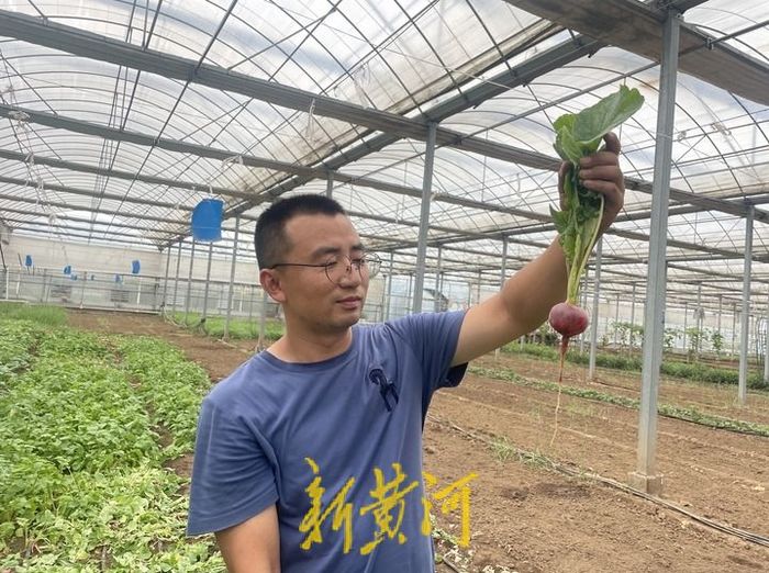 85后大学生回家种地年收入1800万,浙江95后女生辞工作种田年赚75万