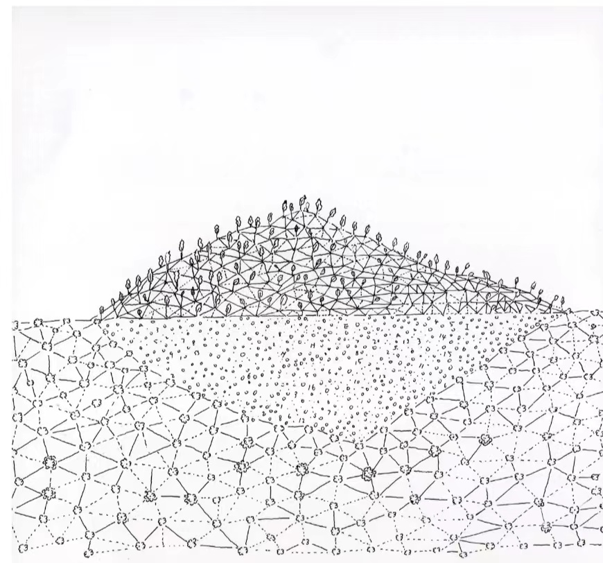 一周艺术人物｜姚南薰请辞创始馆长，科拉“牵手”柏林双年展