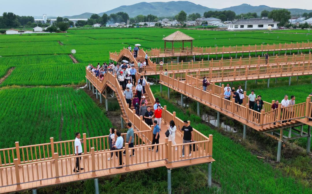 兴安日报｜全国地市百家媒体眼中，岭上兴安石榴花开正艳