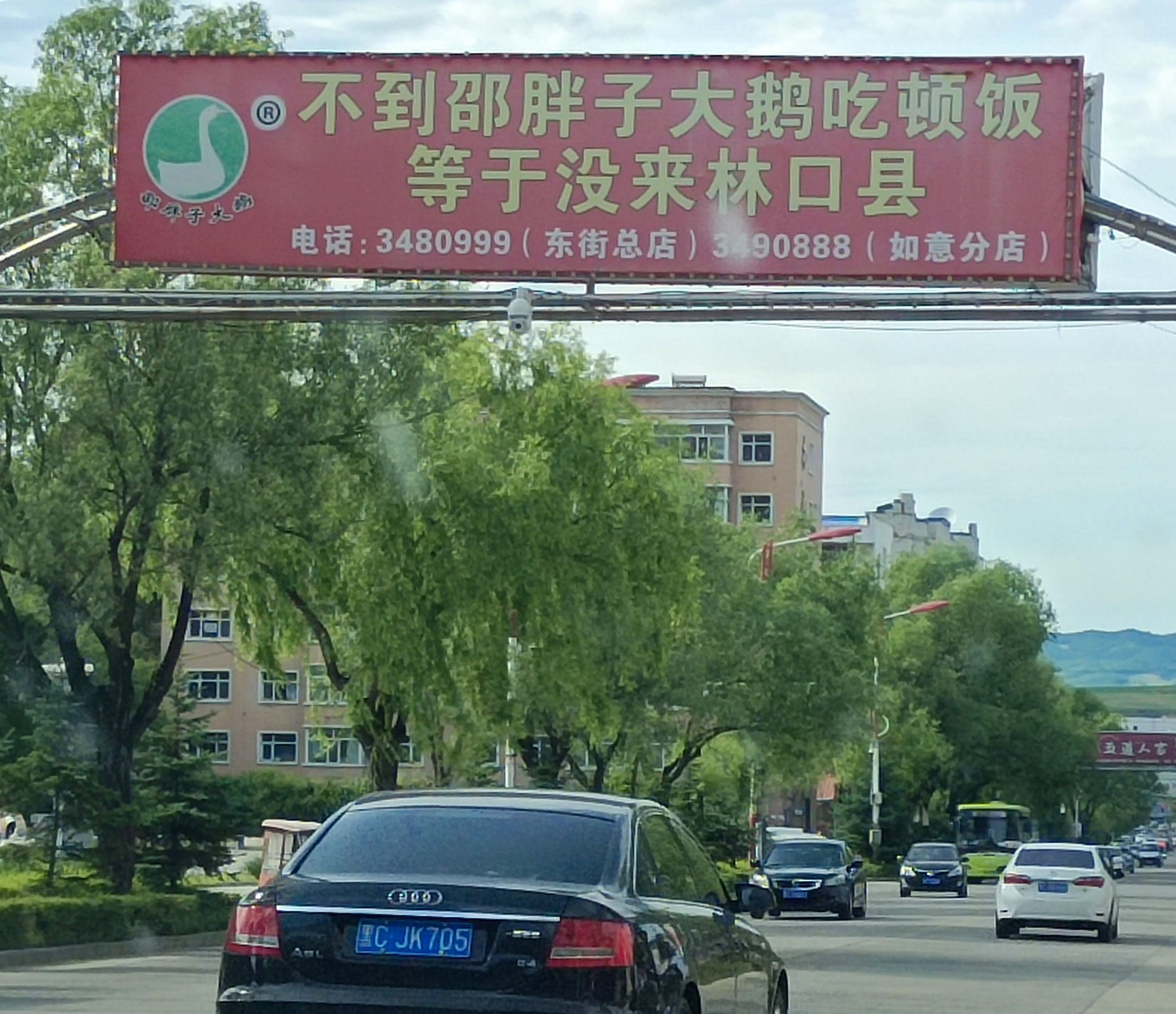 味蕾珠海金湾门店,味蕾齐齐哈尔