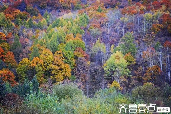 秋天来了夏天越来越远了,秋天来了更加阳光明媚