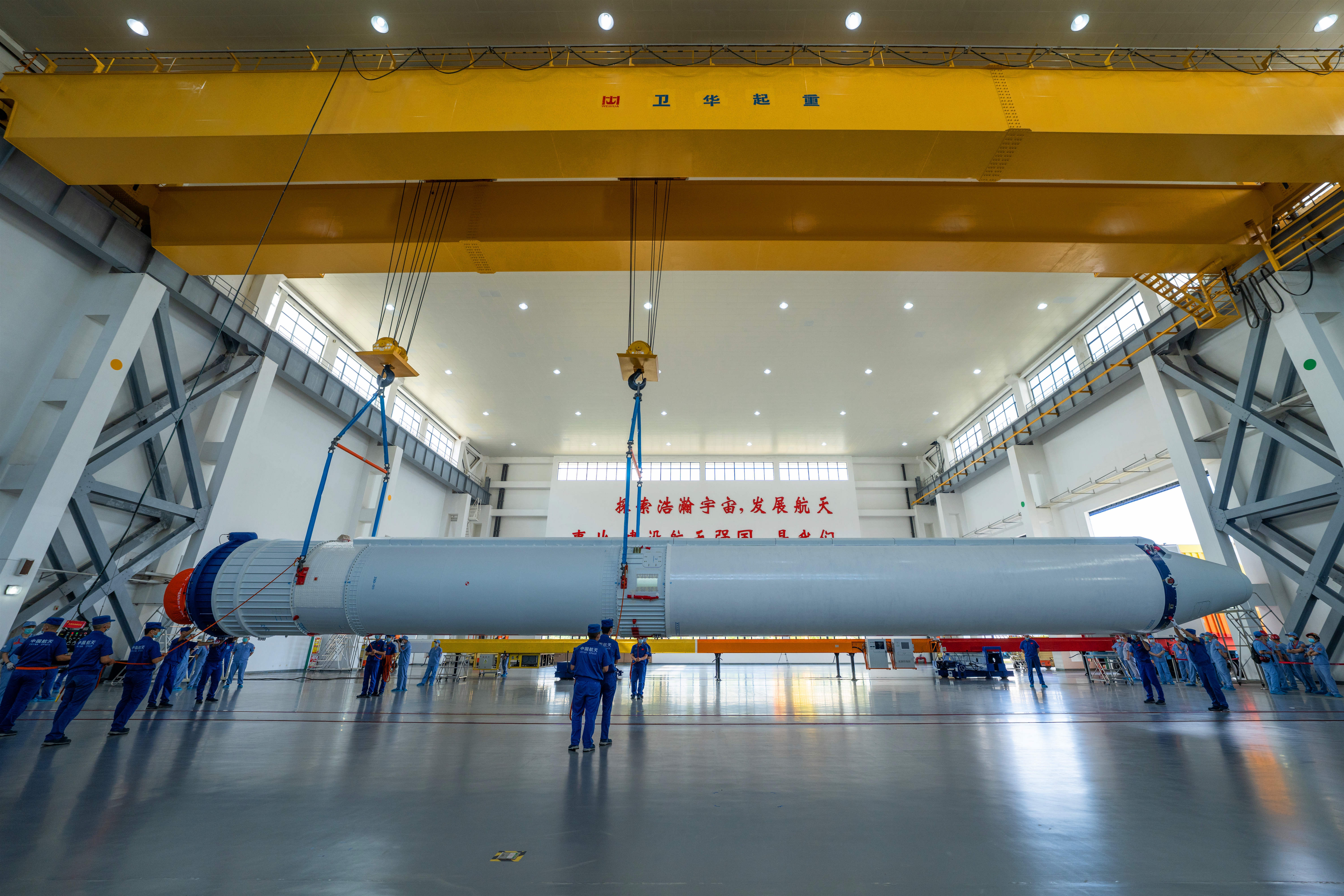 河南向新而生,向新而生完整视频