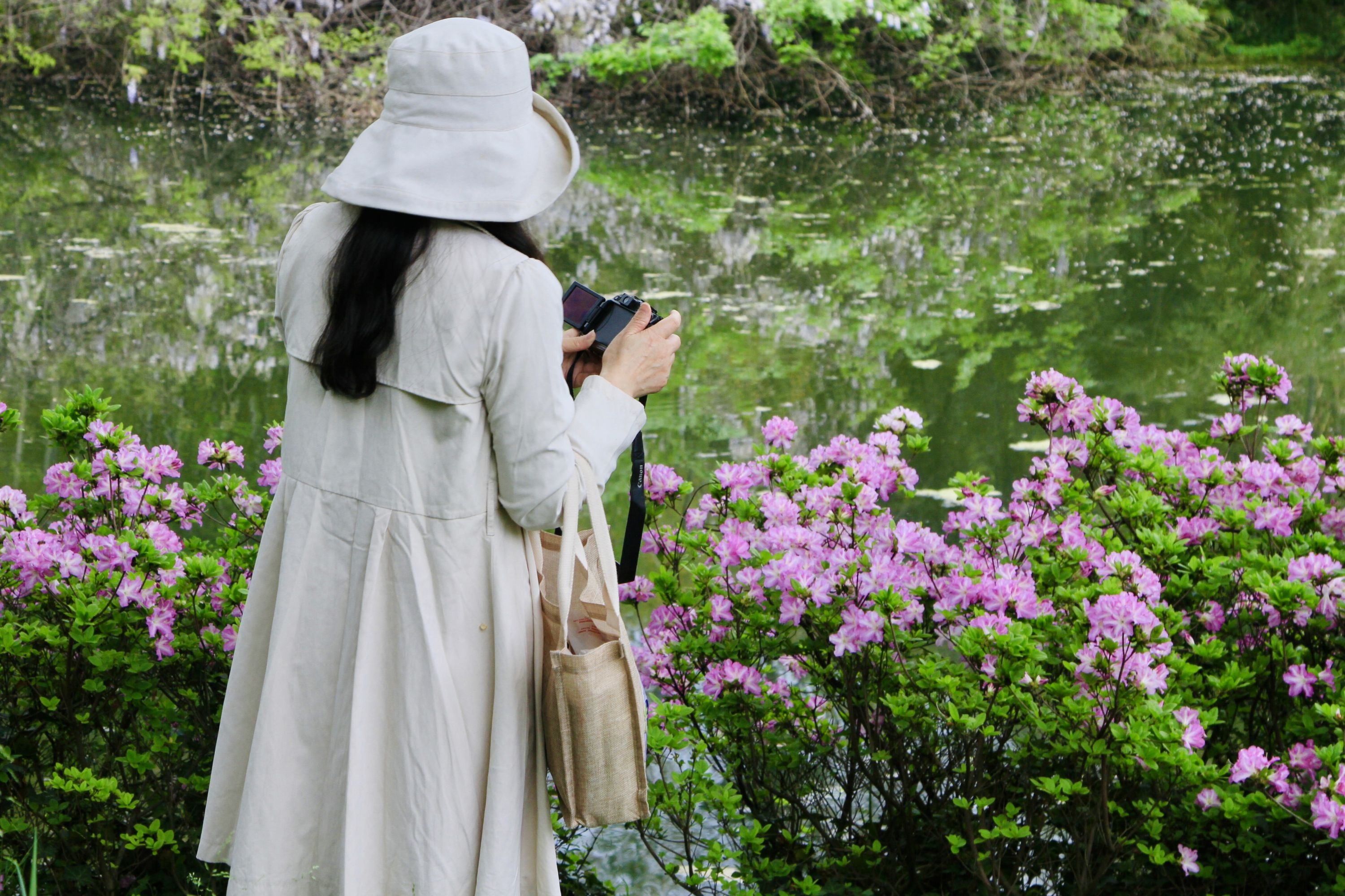 东湖磨山杜鹃花专场视频,武汉东湖磨山杜鹃花海开了