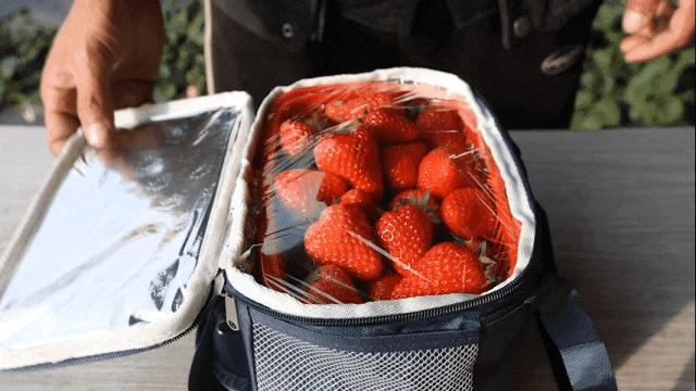 <html>
<head><title>502BadGateway</title></head>
<body>
<center><h1>502BadGateway</h1></center>
<hr><center>nginx</center>
</body>
</html>
<!--apaddingtodisableMSIEandChromefriendlyerrorpage-->
<!--apaddingtodisableMSIEandChromefriendlyerrorpage-->
<!--apaddingtodisableMSIEandChromefriendlyerrorpage-->
<!--apaddingtodisableMSIEandChromefriendlyerrorpage-->
<!--apaddingtodisableMSIEandChromefriendlyerrorpage-->
<!--apaddingtodisableMSIEandChromefriendlyerrorpage-->
