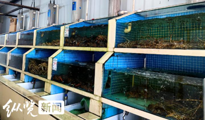 暗访海鲜市场完整版,探访海鲜市场