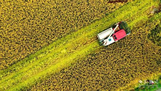 澎湃新动力,澎湃新动能