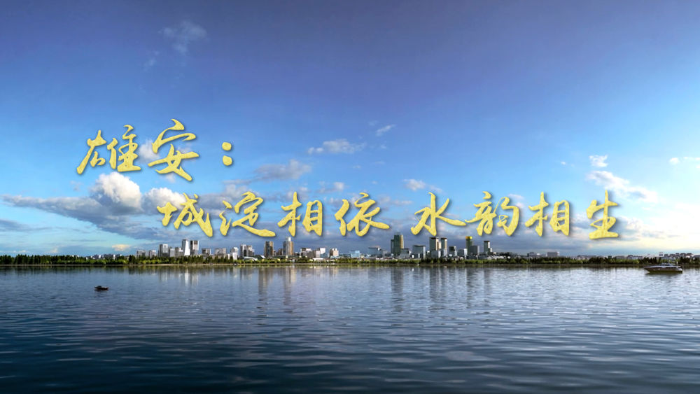 微视频雄安蝶变,微视频美丽白洋淀