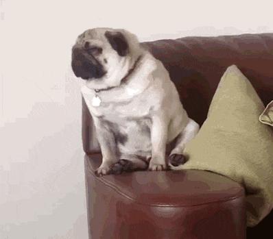 经常吃太饱的危害,吃太饱的危害有多大