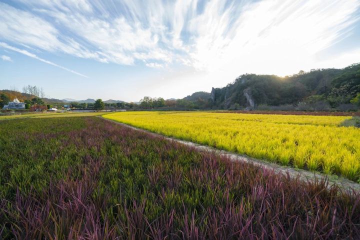 浙江丽水市缙云新碧街道,丽水缙云风景区介绍