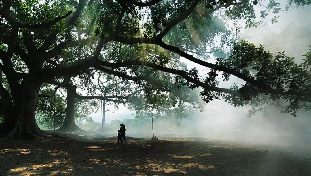 醉美东方园林游记,醉美东方城