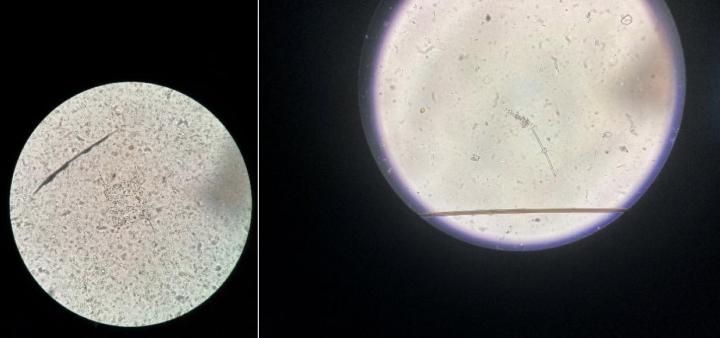 杭州水质与个人水质对比,为什么杭州水质很差