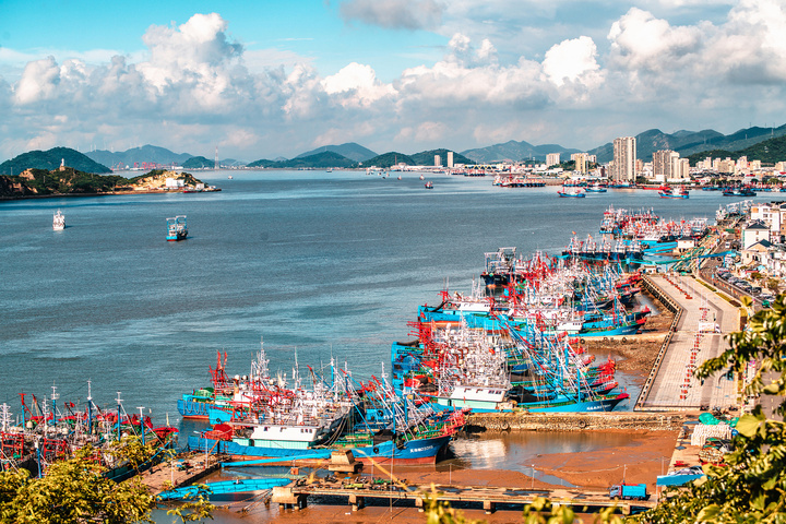 温柔又惬意！“浙”些海岛的春色太撩人，每处都是封神级