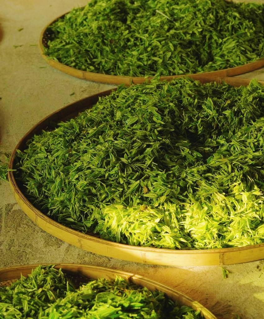 楣ゅ嘲浜戞贰椋庢竻,楣ゅ嘲绉嬪ぉ