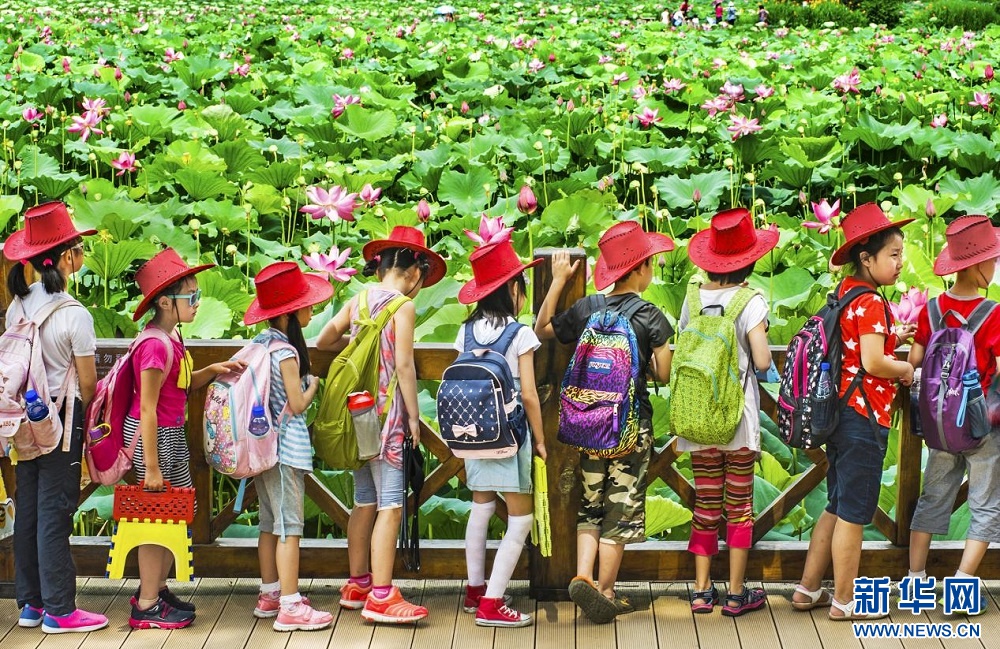 央视聚焦武汉高质量发展,武汉园林绿化建设发展