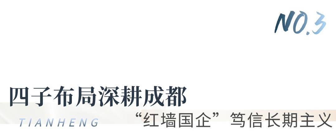 高分交卷！天恒，不止于期待