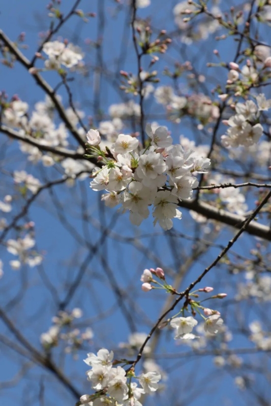 带孩子五日游经典线路推荐,带孩子自驾游4-5推荐路线
