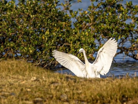 葵涌自由行热门攻略,葵涌十大必去景点