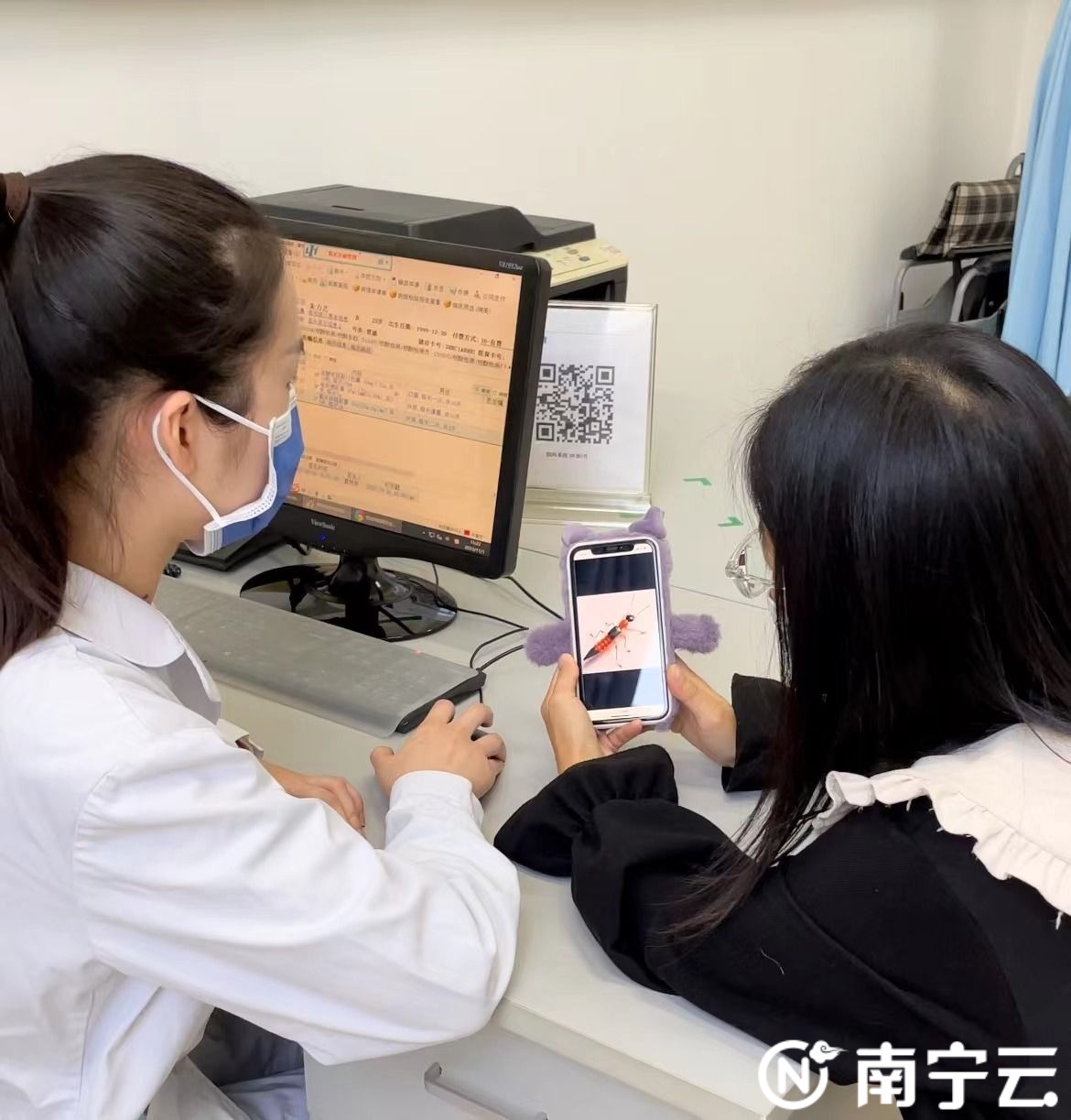 隐翅虫室内防范措施,当心隐翅虫