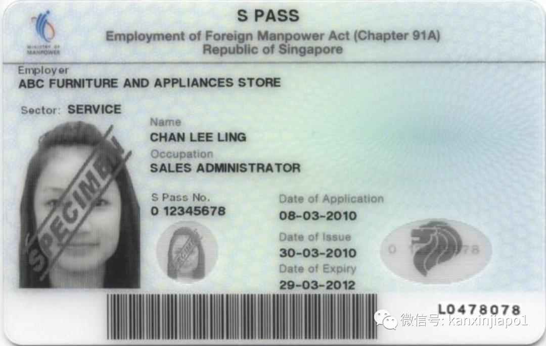 新加坡sp签证可以怀孕吗,新加坡工作签证怀孕后怎么办