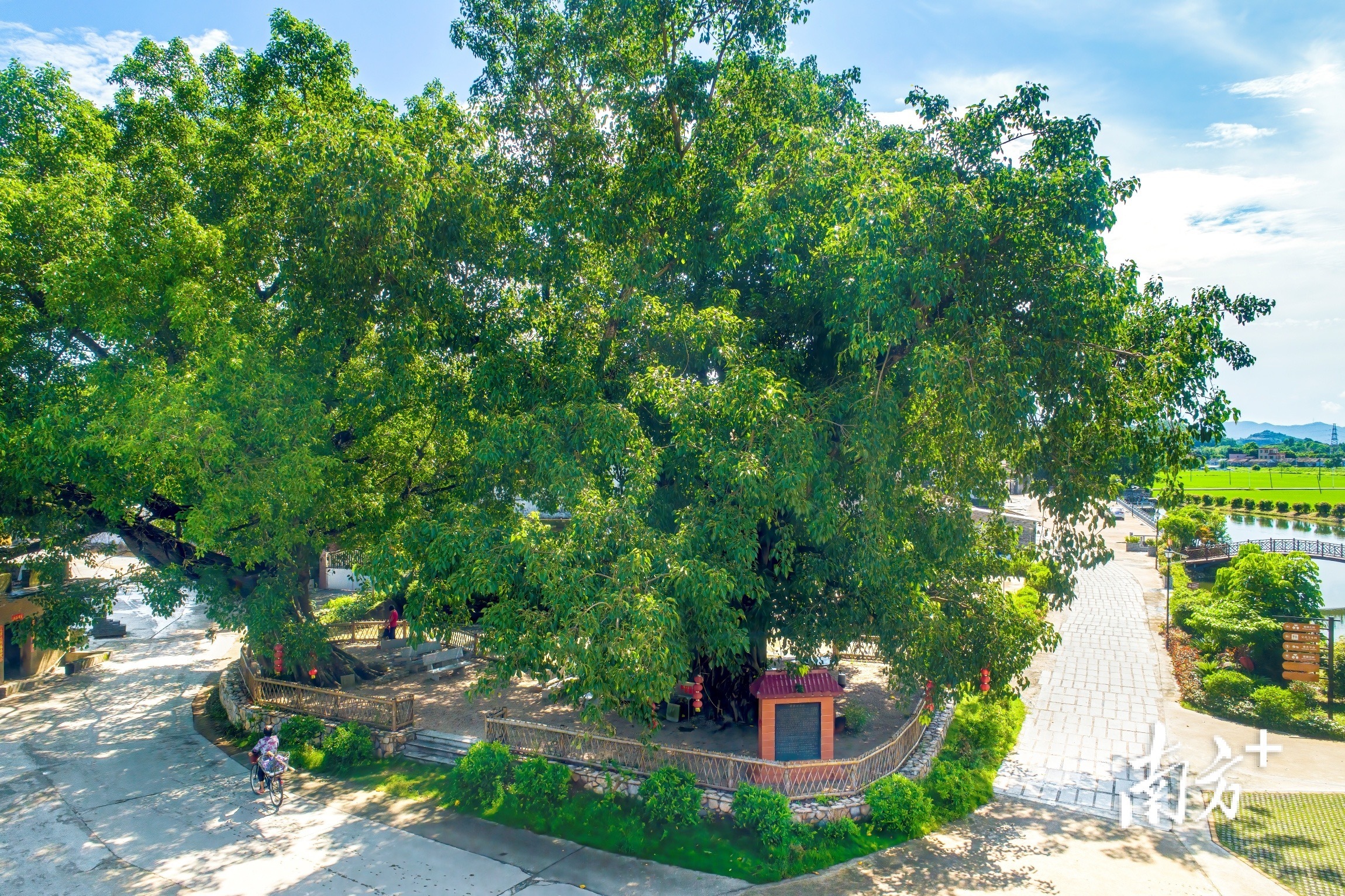 瑙鲁台山,瑙鲁总统将访问中国