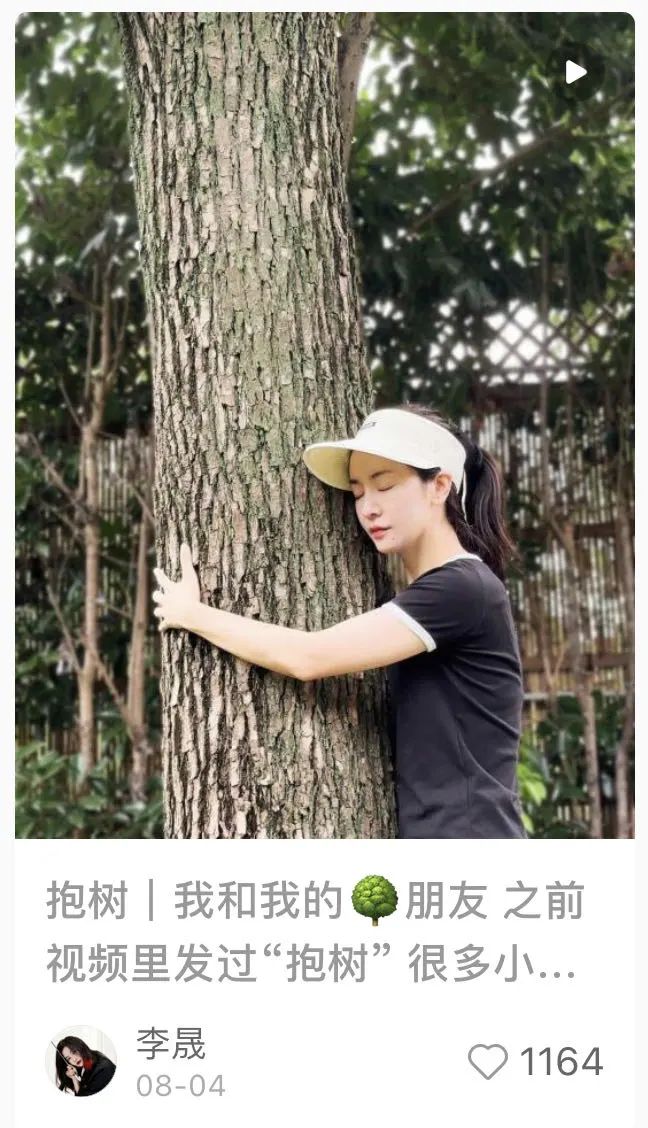 谁懂啊！沪上年轻人开始流行“抱树”解压了