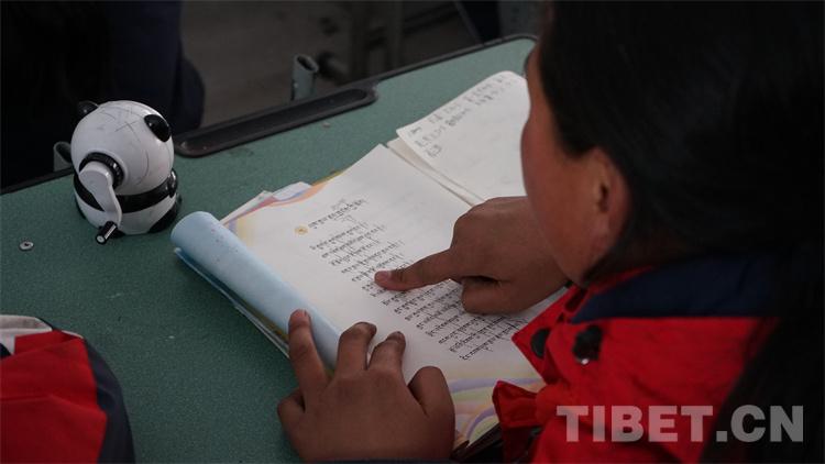 春日的洛隆县第一小学