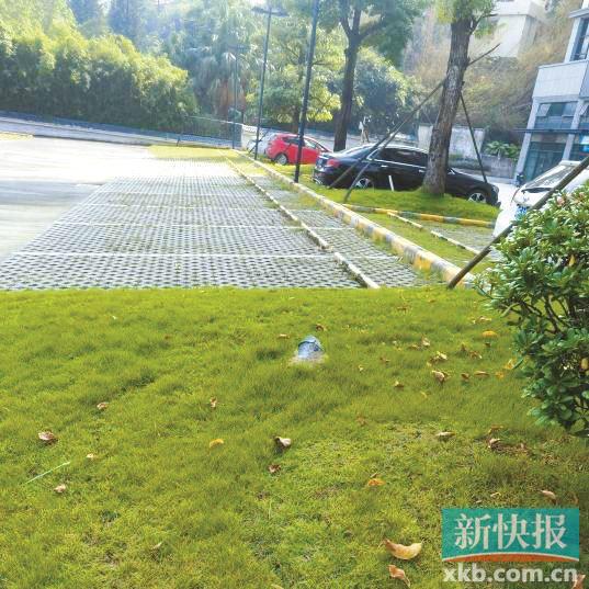 小区公共区域收停车费合法吗,小区公共道路被物业划为私人车位
