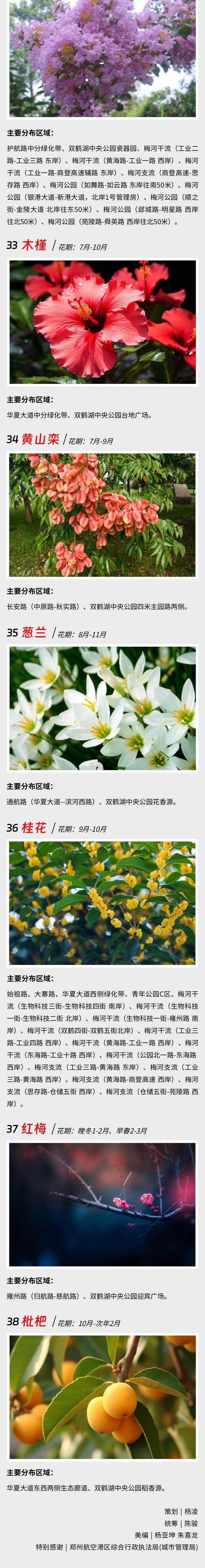 郑州最强赏花攻略出炉,郑州航空港赏花