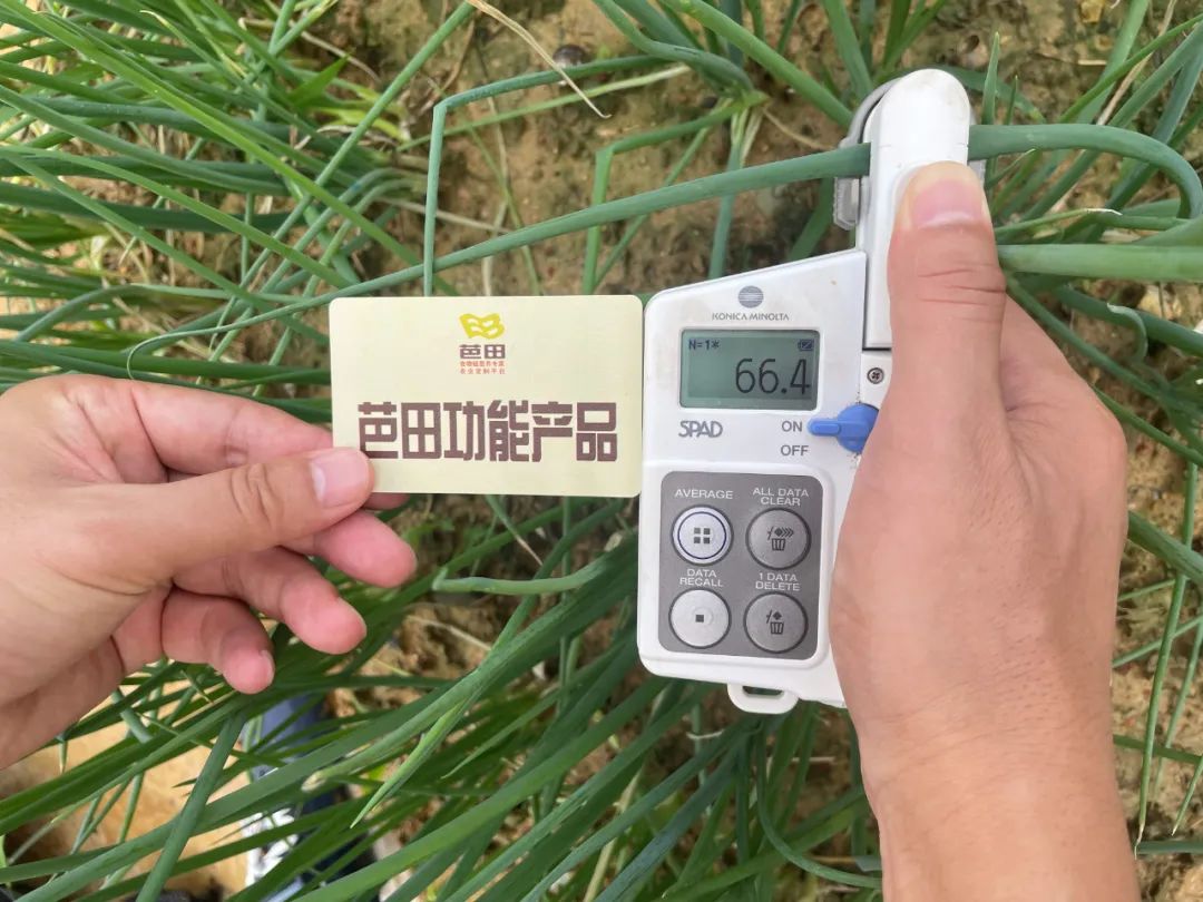 用芭田复合肥种花生好吗,芭田肥料优缺点