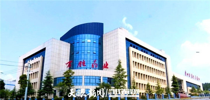 涓囪儨鑽笟鑻楄嵂,涓囪儨鑽笟鏈夐檺璐ｄ换鍏徃鑽巶