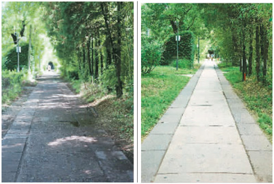 身边的文化遗产综合实践活动,大学生保护文化遗产的案例