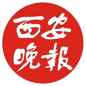 2022年卡塔尔世界杯荷兰队,2022年卡塔尔世界杯合集